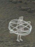 Summer_in_rings