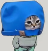 babycatinahat