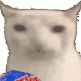 cat-eat