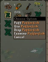 61623544562
