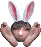 qwfqswda