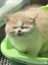 slep