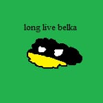 belka
