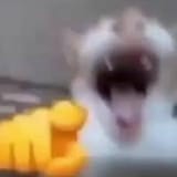 catasrwre