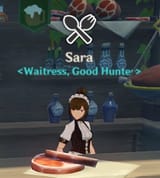 NPC_Sara_CBT