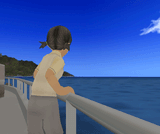 いなか暮らし 南の島の物語
