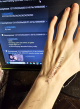 1733898553730