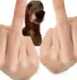 1741929985505663