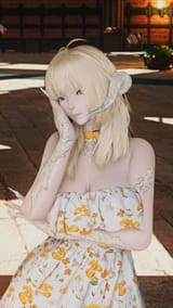 ffxiv_dx11 2025-05-15 11-24-18