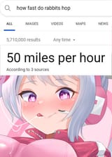 hippity hoppity rabbity is now my property
