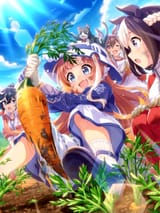 tex_support_card_30207