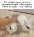 1743395096167363_thumb.jpg