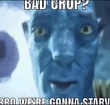 1749572012555093