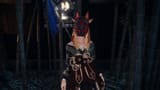 _ffxiv_dx11 2024-06-15 16-34-50 Nightingale_Night 943
