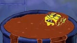spongecover