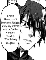 the_shining_dragon