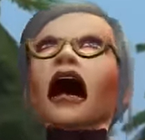 wsssssss