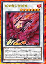 1731349006242664