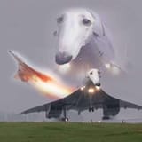 1725609927470937