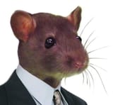 CEO of RAT