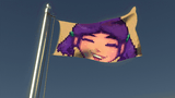 flag