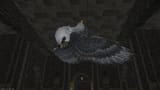 ffxiv_19072025_175959_396