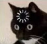 1666000466185107