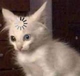 1705714414513745