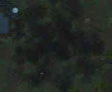 1731169981392550