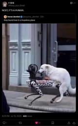 robot vs dog