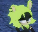 Surge