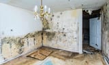 wet-rot-bridgend