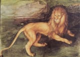 Lion-Albrecht-Durer