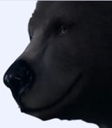1752558639889158