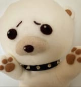 bear