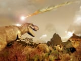 65 million bc