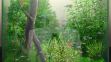 Screenshot (4954)