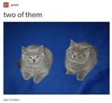 two of them