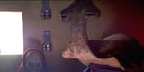 Momaw-Nadon-1[1]