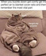 EoaLawTW4AcEaN9