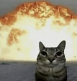 image(8)