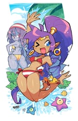 __shantae_and_risky_boots_shantae_drawn_by_rariatto_ganguri__351295593932a14556bc1d6269c93d32