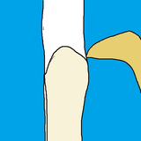 vaginaboneandtummy
