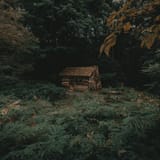 clay-banks-BIuzWHRgLhs-unsplash