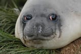 sad