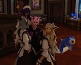 holy meowly i love my pvp maids