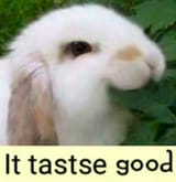 tastsegood