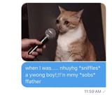 sadcat