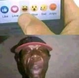 GhbEJoKWgAAYiGX