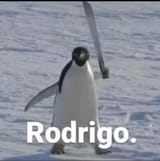 1733692922669141